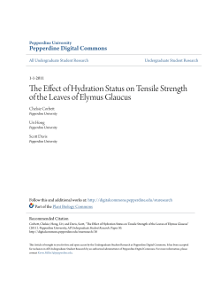 The Effect of Hydration Status on Tensile Strength of the Leaves of