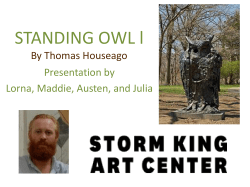 Standing Owl