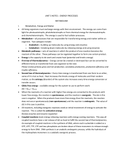 UNIT 5 NOTES – ENERGY PROCESSES METABOLISM Metabolism