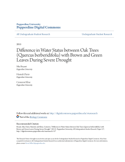 Difference in Water Status between Oak Trees (Quercus berberidifolia)