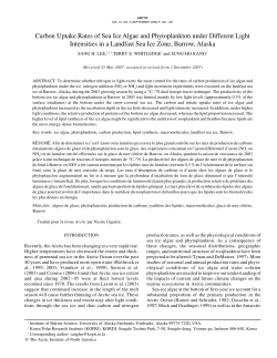 Carbon Uptake Rates of Sea Ice Algae and Phytoplankton under