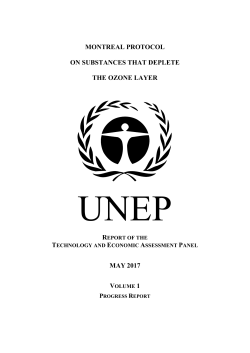 TEAP May 2017: Progress Report (Volume 1)