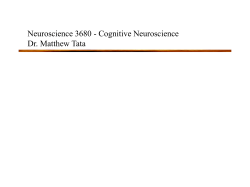 Cognitive Neuroscience