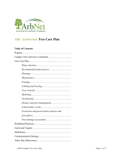 Sample Tree Care Plan