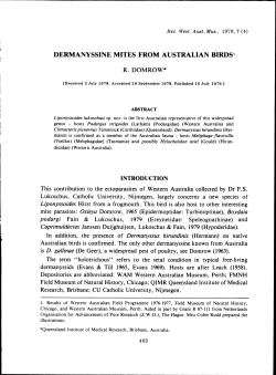 DERMANYSSINE MITES FROM AUSTRALIAN BIRDS