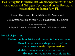 Powerpoint Presentation, 3.4MB,