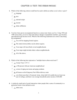 chapter 11 test: the urban mosaic
