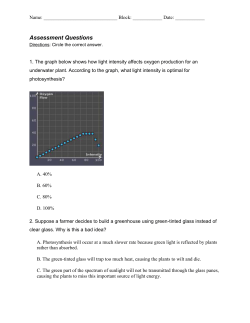 Photosynthesis Assessment Questions
