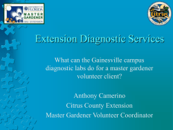 Extension Testing Service