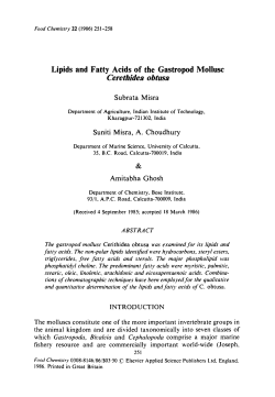 Lipids and fatty acids of the gastropod mollusc