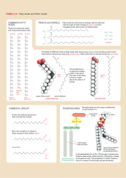 fatty acids, lipids, and phospholipids