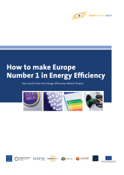 How to make Europe Number 1 in Energy Efficiency