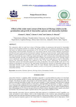 Effects of the crude water extract of the leaves of Moringa