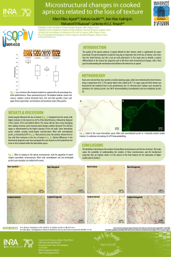 Maquette Poster Scientifique