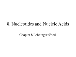 8. Nucleotides and Nucleic Acids