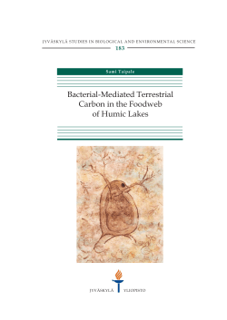 Bacterial-mediated terrestrial carbon in the foodweb of humic