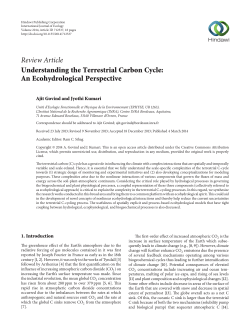 Understanding the Terrestrial Carbon Cycle: An Ecohydrological