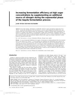 Increasing fermentation efficiency at high sugar concentrations by
