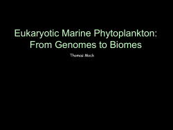 Eukaryotic Marine Phytoplankton: From Genomes to