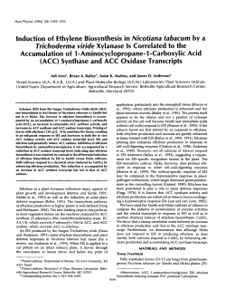 Induction of Ethylene Biosynthesis in Nicotiana tabacum by a