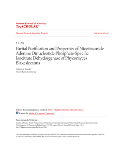 Partial Purification and Properties of Nicotinamide Adenine