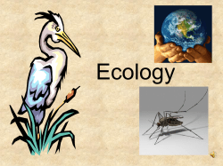 Strand G Ecology_Cycles_ _ Symbiosis S_C_G 1_4_3 _2_4_1