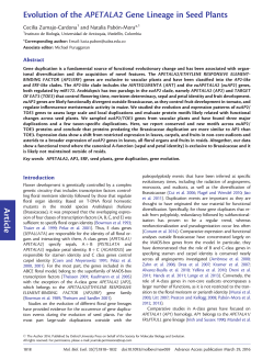 Evolution of the APETALA2 Gene Lineage in Seed Plants