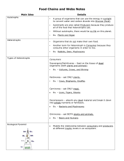 Food Chains and Webs Notes Main Idea Details Autotrophs &bull; A