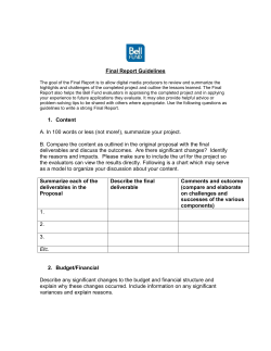 Producer Final Report Guidelines