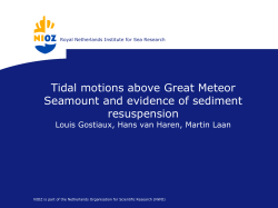 Tidal motions above Great Meteor Seamount and evidence of