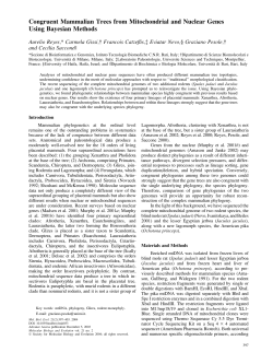 Congruent Mammalian Trees from Mitochondrial and Nuclear