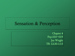 Sensation and Perception