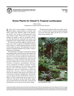 Green Plants for Hawai`i`s Tropical Landscapes