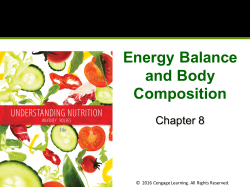 Energy Balance and Body Composition