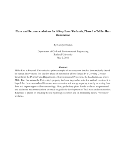 Plans and Recommendations for Abbey Lane Wetlands, Phase I of