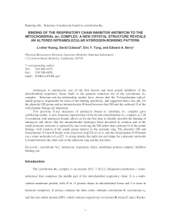 BINDING OF THE RESPIRATORY CHAIN INHIBITOR