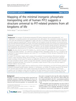 Mapping of the minimal inorganic phosphate transporting unit of