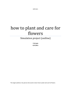 how to plant and care for flowers