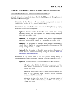 Current Shrimp Actions and Alternatives in Amendment 27/14: