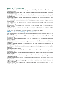 Dietary Lipids Are Digested by Pancreatic Lipases