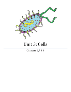 Unit 3: Cells
