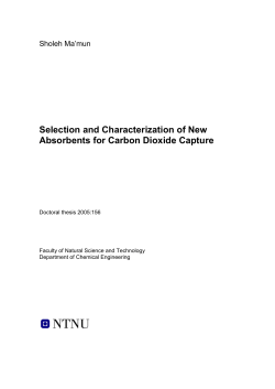 Selection and Characterization of New Absorbents for Carbon
