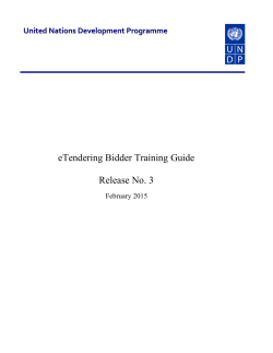 Entering bid factors - UNDP | Procurement Notices