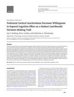 Prefrontal Cortical Inactivations Decrease