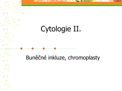 Cytologie a anatomie rostlin - cvičen&iacute;