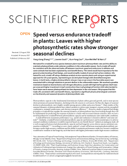 Speed versus endurance tradeoff in plants: Leaves with