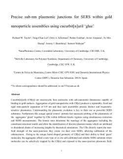 Precise sub-nm plasmonic junctions for SERS within gold nano
