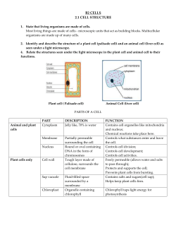 B2 CELLS 2.1 CELL STRUCTURE State that living organisms are