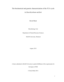 The biochemical and genetic characterization of the TCA cycle in
