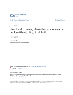 Mitochondria in energy-limited states: mechanisms - The Keep